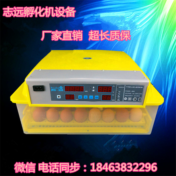 孵化机全自动小型家用型48枚全自动孵化器鸡孵小鸡的全自动孵化器