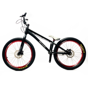 表演特技小轮车 BECAUSE 花式 街攀 极限运动 24寸攀爬自行车