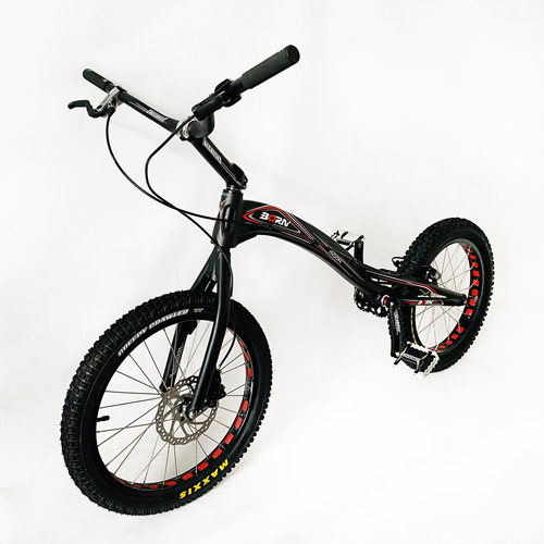 NEONBIKE(霓虹）--BORN-MOON 20寸专业版圈刹 整车攀爬自行车新款