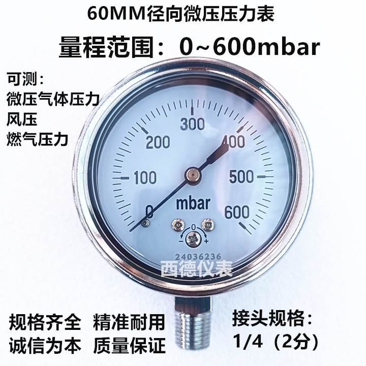 60MM直立式600MBAR燃气压力表