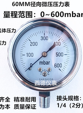 60MM直立式0－600mbar毫巴微压表 毫巴压力表 毫巴燃气压力表