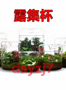 苔藓植物瓶Bioloark生物方舟露集杯高硼硅玻璃瓶苔藓微景观送礼