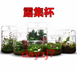 苔藓植物瓶Bioloark生物方舟露集杯高硼硅玻璃瓶苔藓微景观送礼