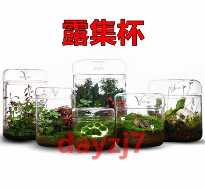 Bioloark微景观苔藓缸办公桌