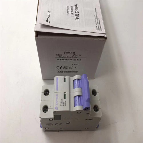 2P63A小型断路器天逸TAYEE空气开关TYB2N 6kA C型 亏本处理库存