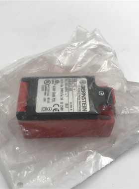 博恩斯坦BERNSTEIN  D-32457 188-SUIZ 618.6153.618缓冲器开关