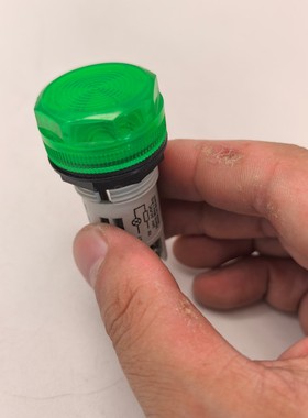 Cutler-Hammer Cutler-Hammer E22HL绿色指示灯24V AC/DC 20mA