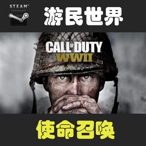 使命召唤14二战 Call of Duty: WWII steam 正版激活码CDkey中文