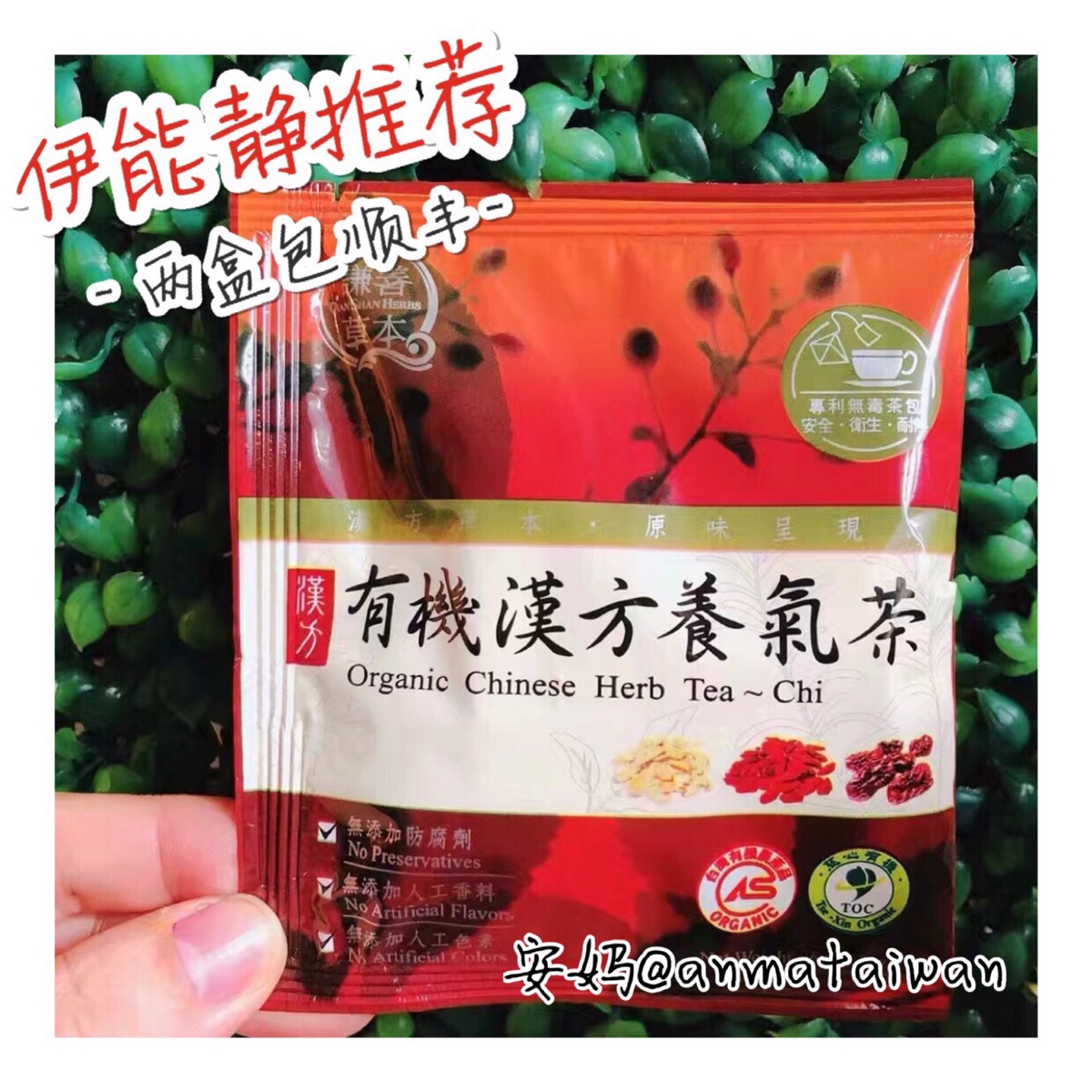 伊能静推荐