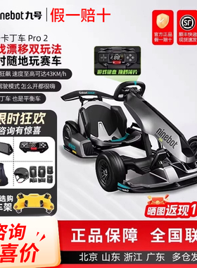 Ninebot九号卡丁车PRO2小九平衡车改装儿童成年飘移电动智能赛车