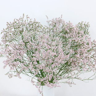 天然小清新永生水晶草真花干花家居客厅装饰橱窗布置摆件diy花材