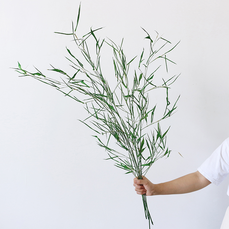 天然竹子永生花真花禅意氛围感干花插花装饰摆件无需水养拍摄道具