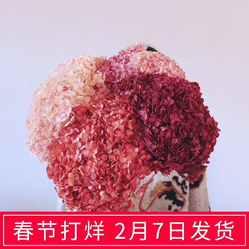 复古安娜绣球干花家居装饰插瓶永生花超大支真花拍摄道具diy材料