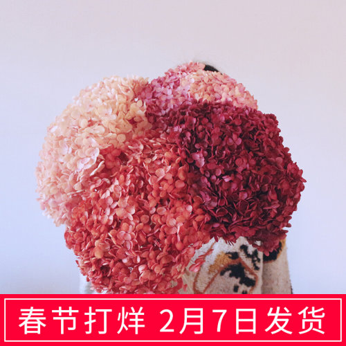 复古安娜绣球干花家居装饰插瓶永生花超大支真花拍摄道具diy材料