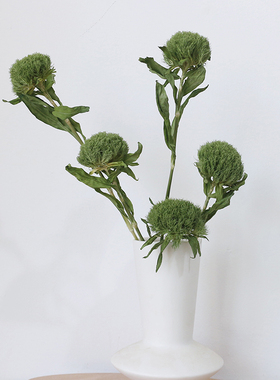 天然绿毛球干花家居插花
