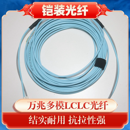 老水tv万兆铠装光纤