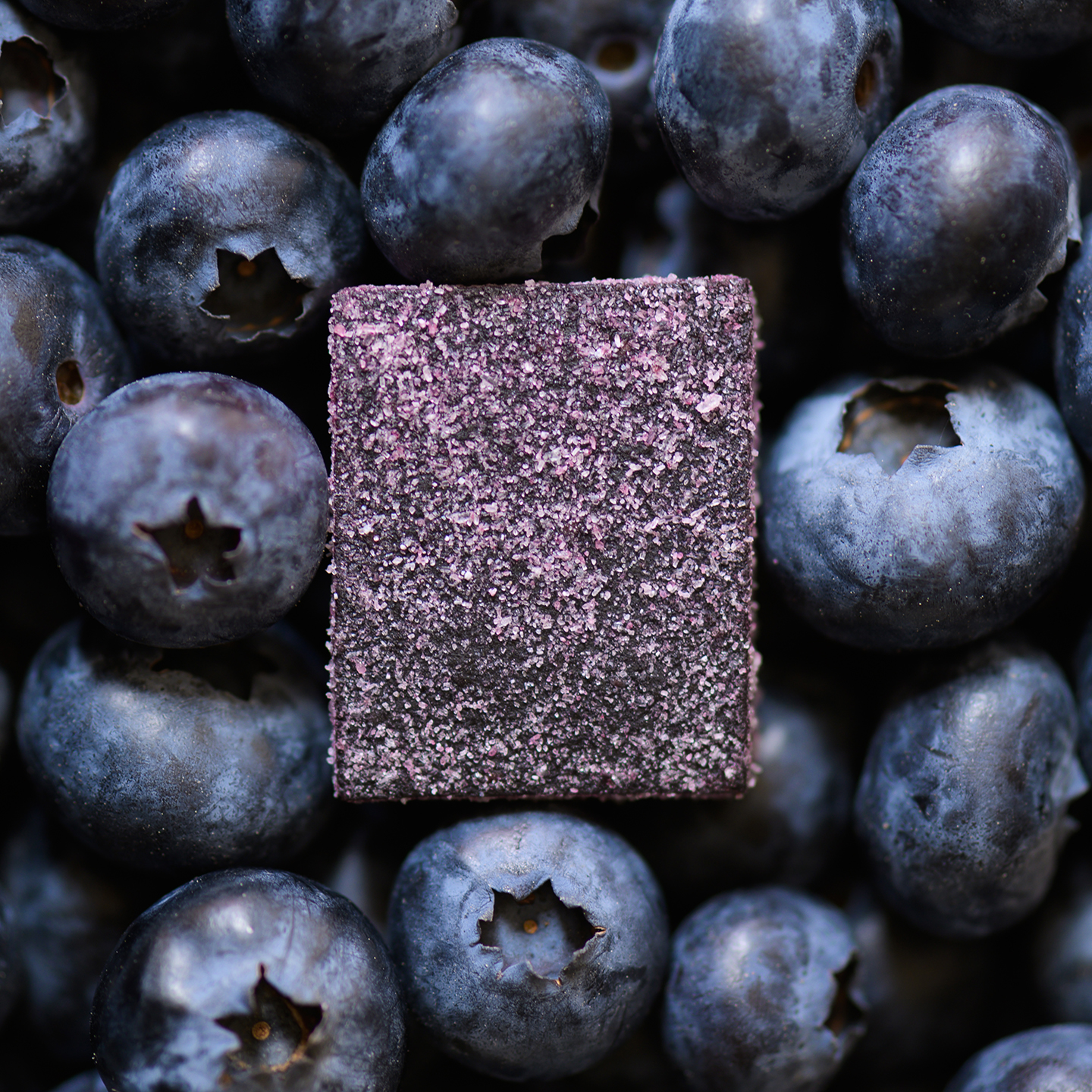 山季蓝莓花青素海藻糖