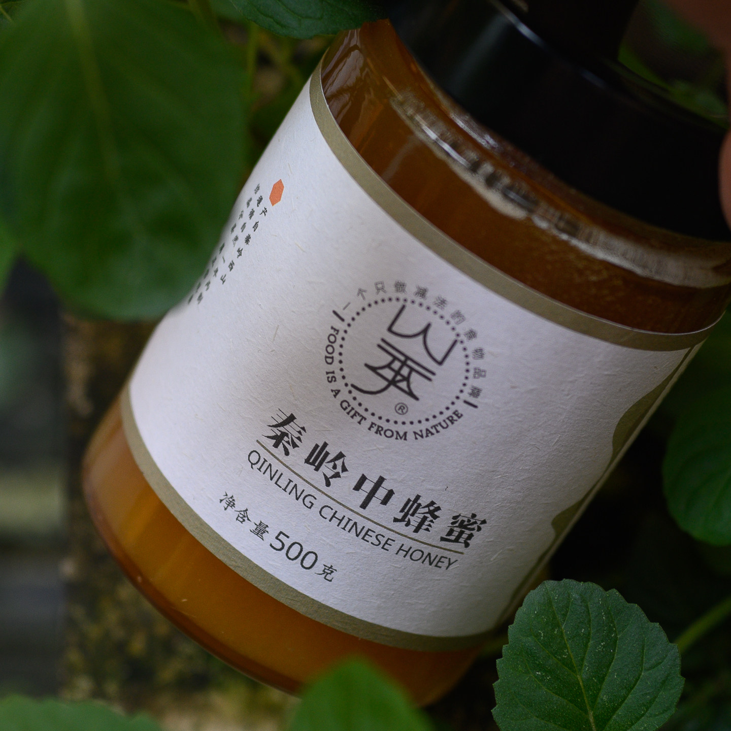 山季秦岭深山中蜂蜜土蜂自然成熟原蜜一年2割500克/瓶