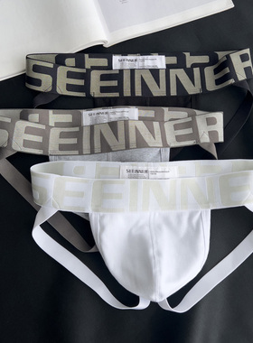 2条纯棉丁字裤男士双丁内裤纯白色男生U凸囊袋性感空三角短裤头