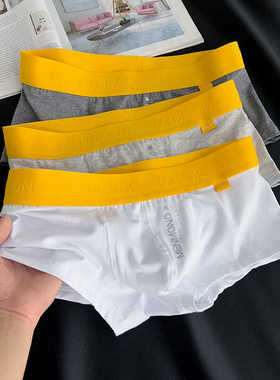 男士内裤男潮纯棉运动平角低腰性感U囊袋青年黄色腰带四角短裤头