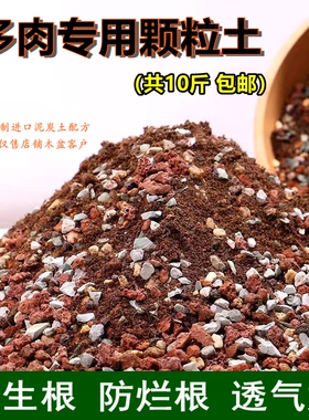 多肉专用颗粒土通用型老桩复合营养土壤进口泥炭土配方叶插换盆土