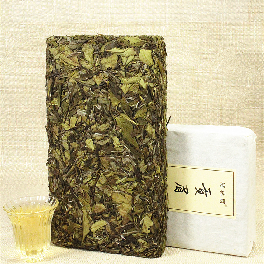 小土茶小菜茶福鼎本地茶葉品種