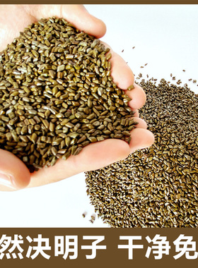 纯决明子枕头全填充物婴儿夏季凉枕散装儿童夏天枕头芯护颈椎硬枕