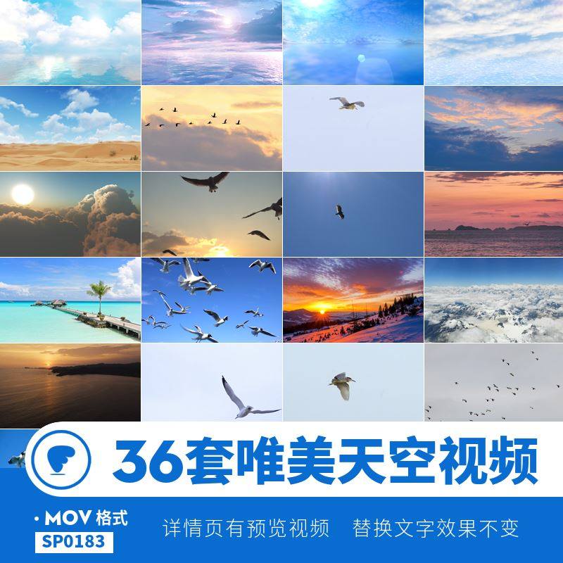 唯美天空视频mp4蓝天白云海边海鸥飞鸟航拍落日空镜头mov剪辑素材