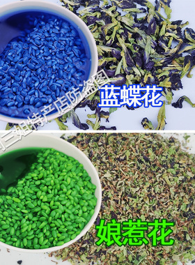绿色植物染料广西三月三云南贵州布衣族五色糯米饭材料蓝青色蒸布