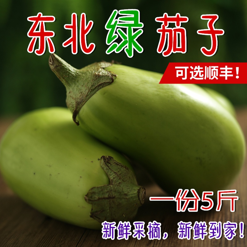 东北特产大绿茄子农家自种新鲜现摘绿皮茄子生吃青茄蔬菜 5斤包邮