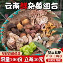 云南新鲜野生菌杂菌青头菌蘑菇 食用菌子火锅鸡枞菌牛肝菌松茸2斤