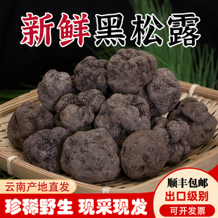 25年新鲜黑松露 野生菌云南高黎贡山块菌猪拱菌菇白松露500克顺丰