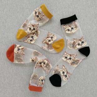 3双装 奇可家夏天2020新上水晶玻璃丝中筒 猫咪卡丝袜子女ins潮春季