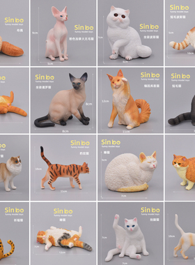 实心动物模型儿童仿真玩具早教宝宝认知布偶三花英短暹罗波斯橘猫