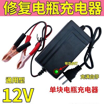 智能12V踏板摩托车电瓶车充电器 12v20AH蓄电池修复干水通用铅酸