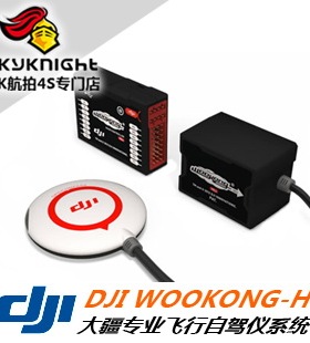 现货 大疆 DJI 悟空 直升机版专业飞控系统WKH