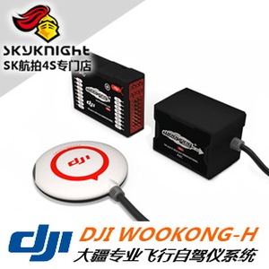 大疆 DJI 悟空 直升机版 Lite简化版专业飞控系统WKH