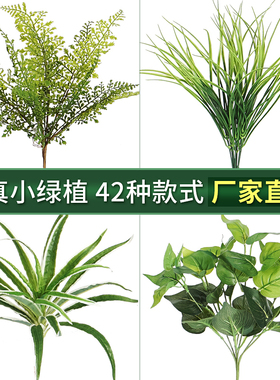 塑料仿真绿草高枝插花树枝仿生散尾葵高品质绿萝假绿植造景单枝花