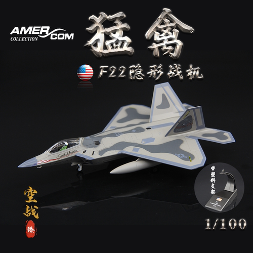AMER美国空军F-22A战斗机91-001