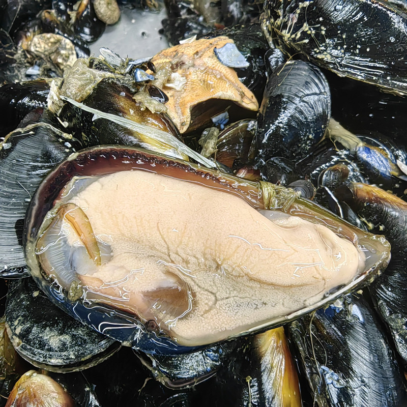 海虹肉鲜活现剥速冻青口贝新鲜贻贝肉淡菜肉去壳海鲜水产图片