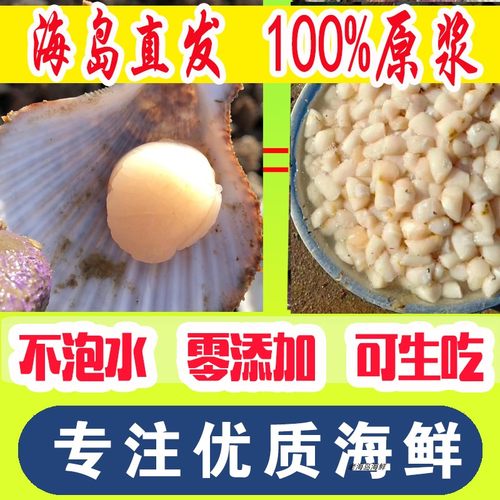 大连现扩新鲜扇贝丁原浆扇贝肉大扇贝柱干贝冷冻瑶贝柱500克