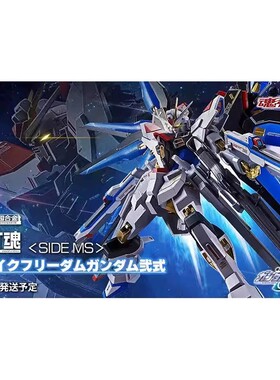 万代 魂限 MR魂 强袭自由高达二式  METAL ROBOT魂  全新现货