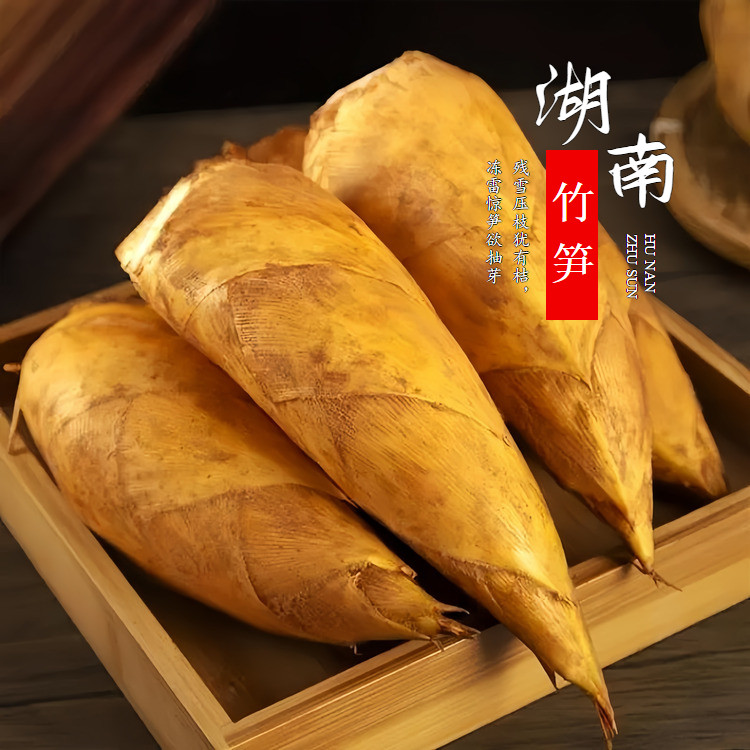 新鲜冬笋野生农家冬笋蔬菜商用湖南现挖竹笋雷笋现挖去老根发货