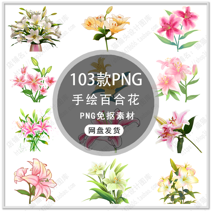 手绘百合花朵花束鲜花唯美百合花瓣春天百合花插画png免扣素材