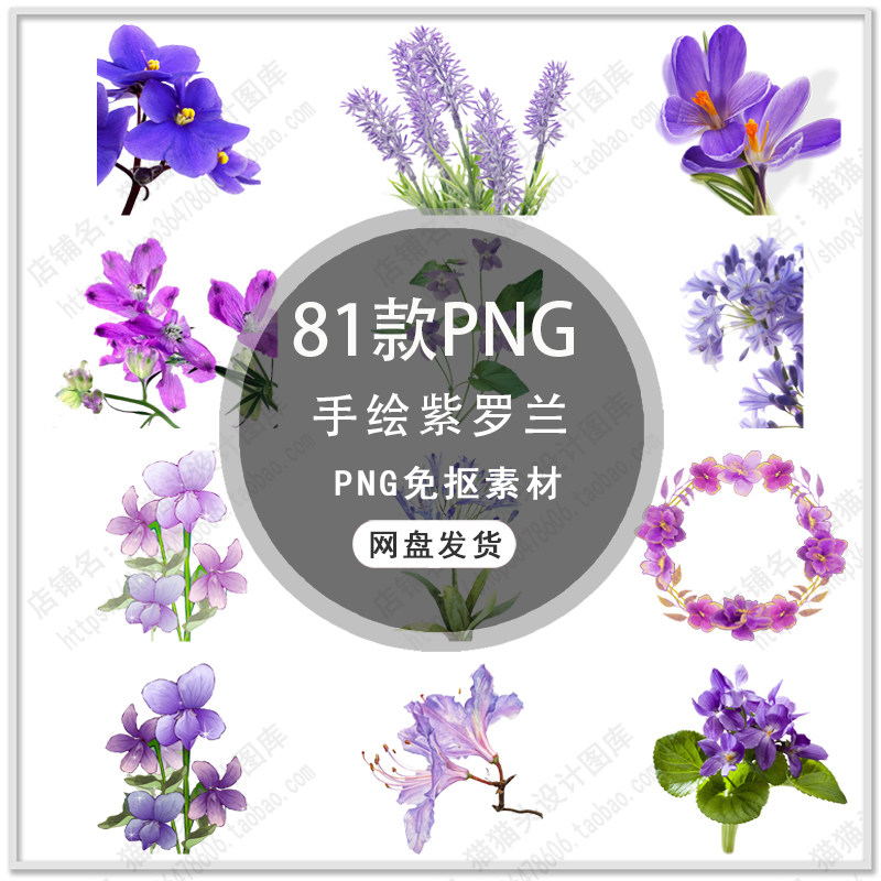 手绘紫罗兰花卉蝴蝶兰熏衣草花卉紫色花朵花环插画png免扣素材