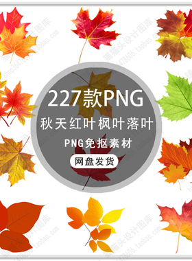 手绘秋天树叶枫叶黄色落叶红叶枫叶秋天落叶背景装饰PNG免扣素材