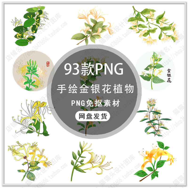 手绘金银花插画养生中草药金银花手绘金银花养生插画png免扣素材