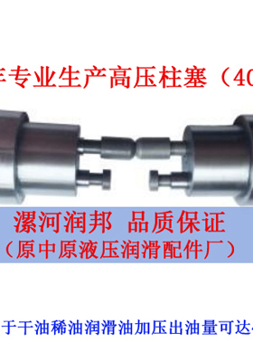 40MPa级柱塞泵柱塞阀QJRB-40电动高压润滑泵 干油润滑泵高压柱塞
