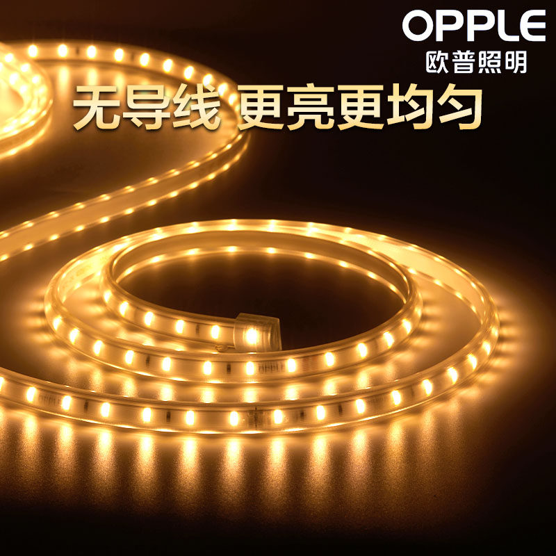 欧普灯带led霓虹灯条线灯客厅吊顶装饰贴片超亮光带220v_虎窝淘