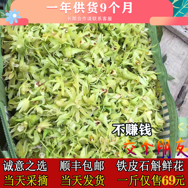 顺丰包邮铁皮石斛鲜花当天采摘新鲜食用一斤枫斗新花正宗基地直发-封面